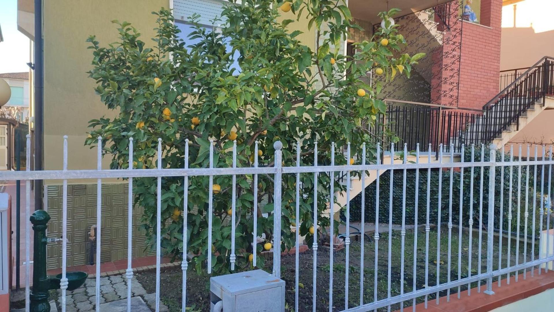 Apartamento La Verdina Cnr Pisa